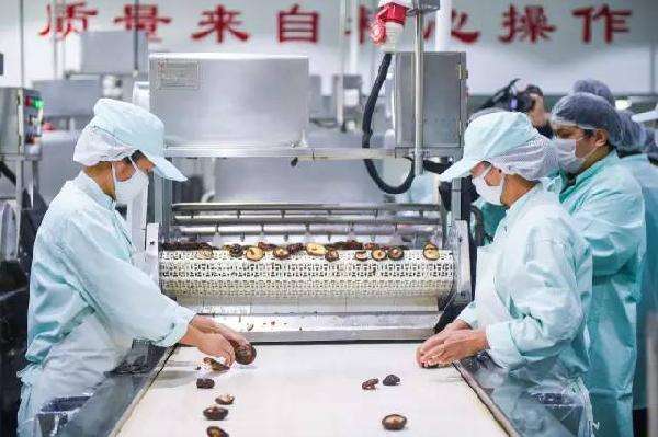 包子生產線-奇能設計百科